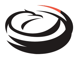 Nest Fitness Combat Logo